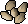 Barley seed 5.png